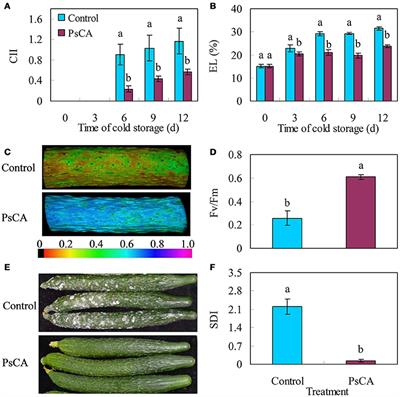 Frontiers Proteomic Analysis Of Differentially Accumulated Proteins